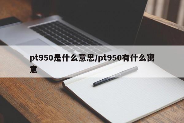 pt950是什么意思/pt950有什么寓意