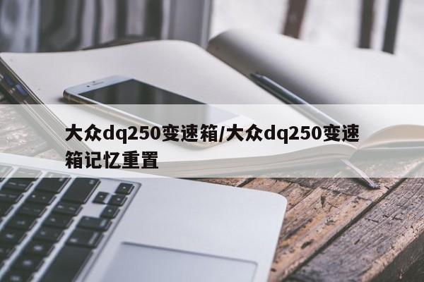 大众dq250变速箱/大众dq250变速箱记忆重置