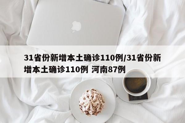 31省份新增本土确诊110例/31省份新增本土确诊110例 河南87例