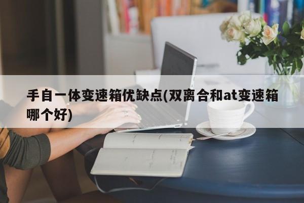 手自一体变速箱优缺点(双离合和at变速箱哪个好)
