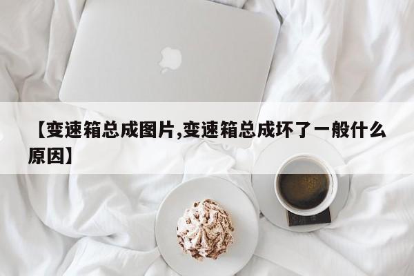 【变速箱总成图片,变速箱总成坏了一般什么原因】