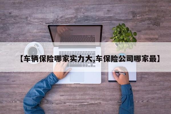 【车辆保险哪家实力大,车保险公司哪家最】